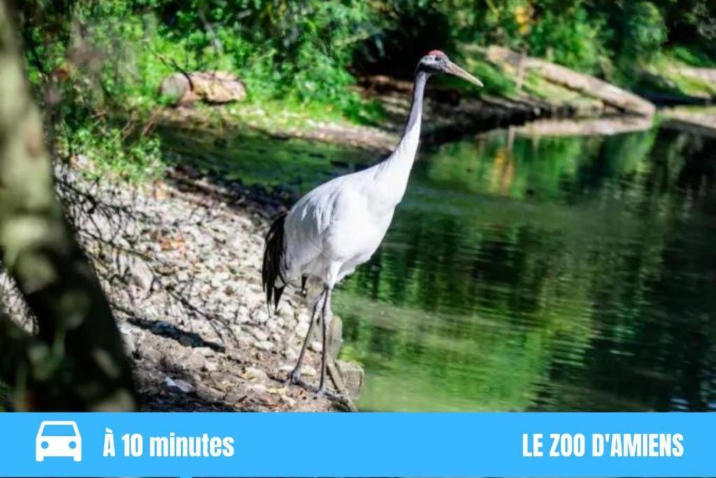Grand T2 Gare Amiens Tout Confort 2Pers Wifi エクステリア 写真